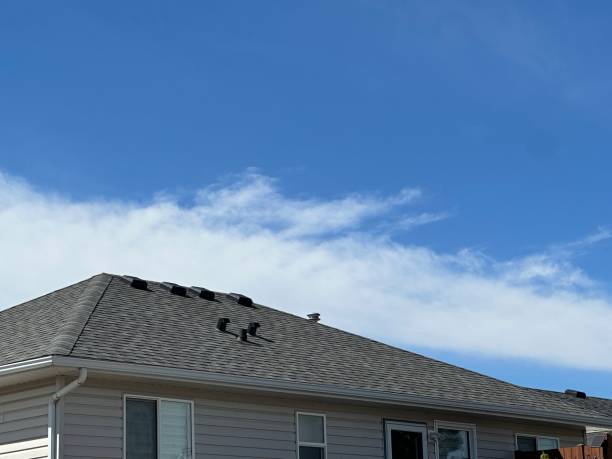 Professional Roofing Services in Hibbing, MN